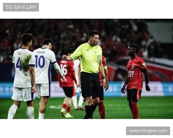 药厂老总辱裁判德足协纪律调查 药厂老总辱裁判德足协纪律调查